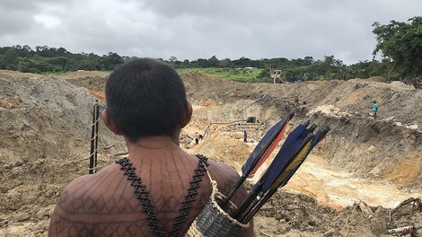 Brazilian Natives Fight Back To Reclaim Their Land From Illegal Miners