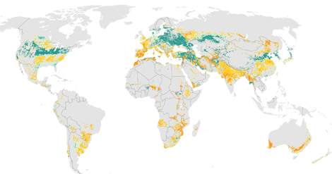 The Link Between Environment And Dinner Table