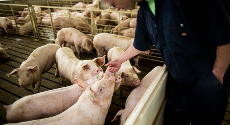Trump Adds Woes to Rural US's Declining Fortunes