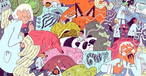 Unlocking The Mystery Of Why We Sleep 