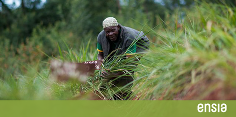 How Small-Scale Kenyan Farmers Are Tackling The Effects Of Climate Change