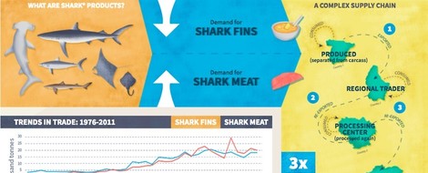 The Shark Fin Trade Isn't Just About China — Infographic
