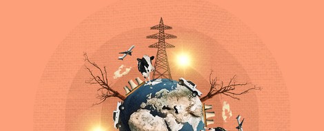 Could This Be The Cheapest Solution To Climate Change?