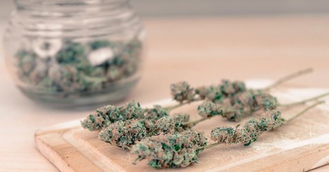 Cannabis: The Latest Wellness Trend