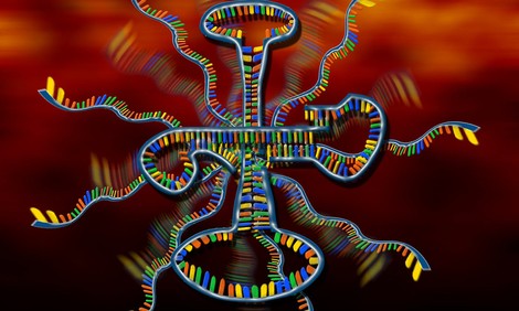 If We Made Life In A Lab, Would We Understand It Differently?