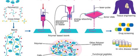 Living Ink on Demand and its effects on Research