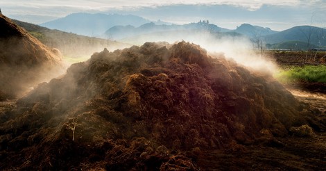 Can Dirt Save The Earth?