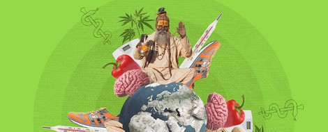 Why Scientists Need Darwin To Win The Cancer War