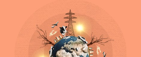 Brazil: The Tale Of Escalating Violence Triggered By Unsustainable Development