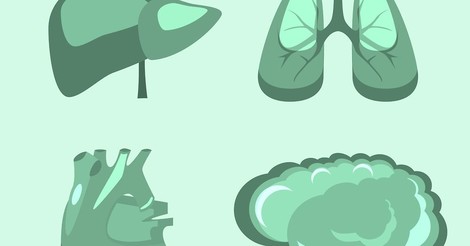 Organ Donation After Death: The Exception, Not The Rule
