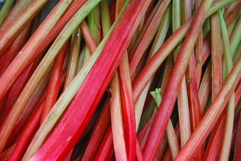 Veggie Pop: The Sound Of Rhubarb Growing 