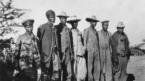Grave Robbers & Genocide: The Namibian Skeletons In The American Museum Of Natural History