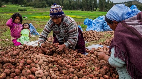 Indigenous Bolivian Women Cope With Climate Change