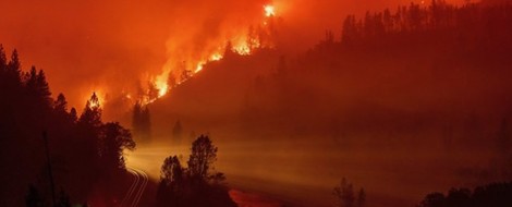 Podcast: Climate Chronicle Of A Summer Full Of Weather Extremes