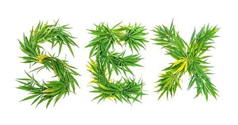 Sex, Bliss And Cannabis