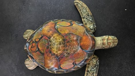 The Neural Network That Mistook A Turtle For A Rifle (With Apologies To Oliver Sacks)