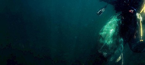 Video: Abalone Poaching & Organized Crime In South Africa 