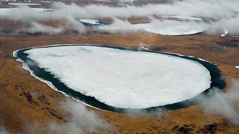 There Are Diseases Hidden In The Ice, And They Are Waking Up