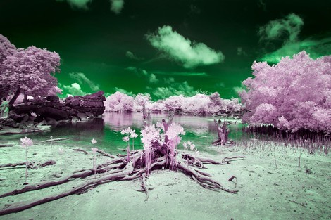 Exploring Genetics Through Photography: The Island Of The Colorblind