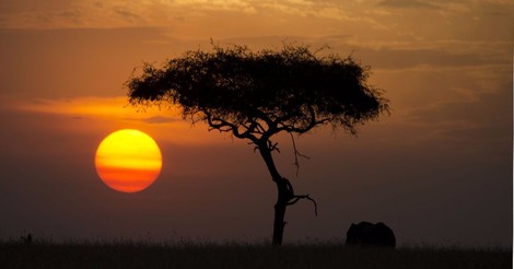 How To (Not) Write About Africa - Confronting How Africa Is Represented In The West