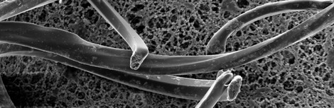 There Are Now Plastic Fibres In Tap Water All Around The World