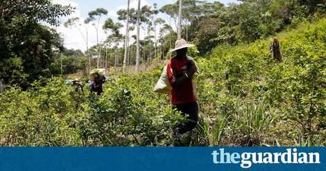 Peace Process In Colombia: Armed Groups Sow New Conflicts Even As War With FARC Ends