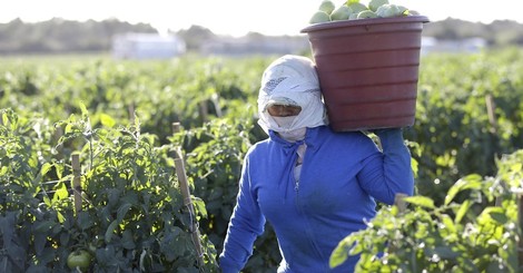 #MeToo Movement And Modern-Day Slavery In Agriculture 
