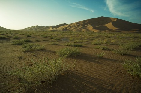 The Imprint Of The Desert: Oman In The 1940s