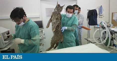 A Success Story Of Biodiversity Protection