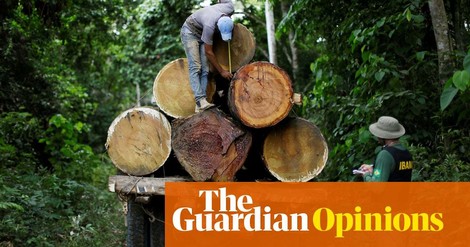 The 'Unstoppable Rise' Of Jair Bolsonaro Pushes People And Nature Of Brazil To The Edge