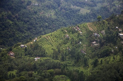 What Happens When A Whole State Bans Pesticides?