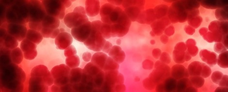 Interview With Adaptive Biotechnologies