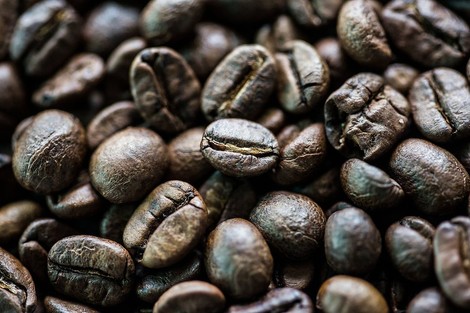 A Future Without Coffee? Maybe Not.