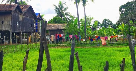 How Cambodian Women Are Confronting Illegal Loggers