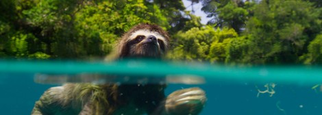 Nature Makes Us Happy – So BBC Earth Starts A Happiness Project