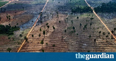 How Indigenous Peoples Are Key To Solving Deforestation 