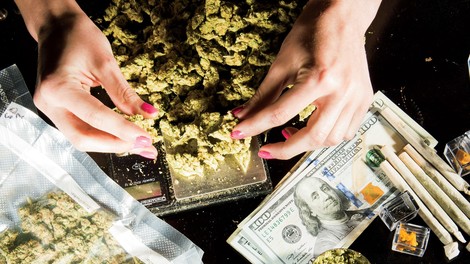 Green Angels Of Cannabis Delivery 