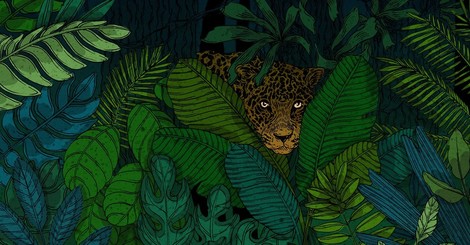 The Jaguar Is Made For The Age Of Humans