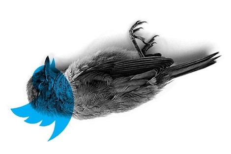 What Should Twitter Do?