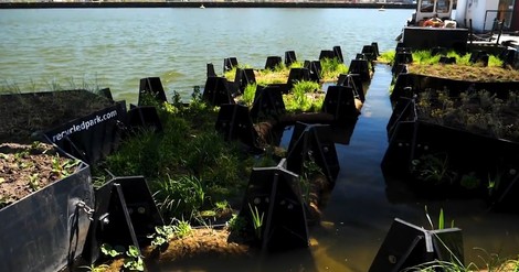 Turning Plastic Waste Into Greenery... On The Water