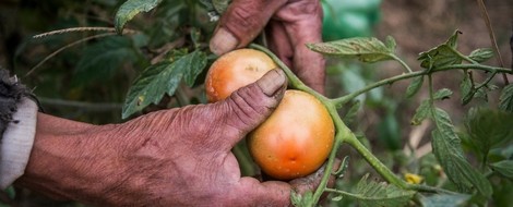 New Conservation Models Will Be Based On Indigenous Knowledge