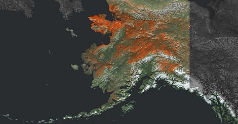 What's Permafrost Thawing, And Why Does It Matter?