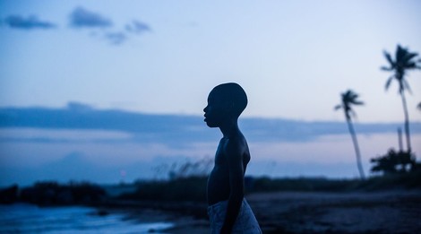 Against All Odds, Moonlight Wins Best Picture