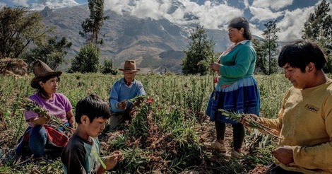 The Expiring Wealth Of The Peruvian Desert