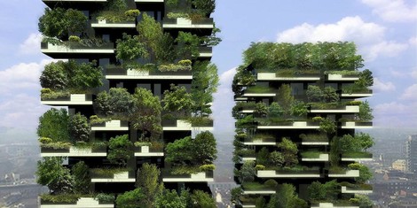 Podcast: Turning Cemented Slums Into Green Urban Environments