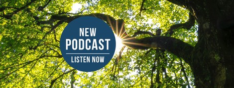 Christiana Figueres, Jane Goodall And Greta Thunberg Talk About Optimism