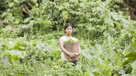 Laws Limit Indigenous Women's Actions Against Climate Change