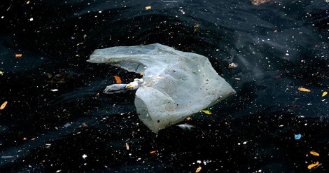 The Plastic Bag: An American History