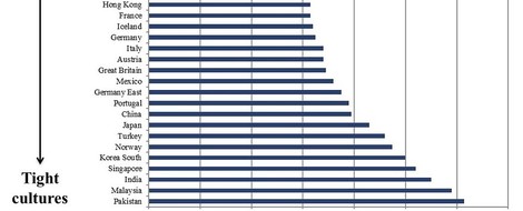Cultural Intelligence—What We Need To Survive As Individuals, Nations Or Organisation