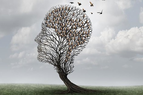 Food For Thought: Why Don't We Know More About Brain Nutrition?